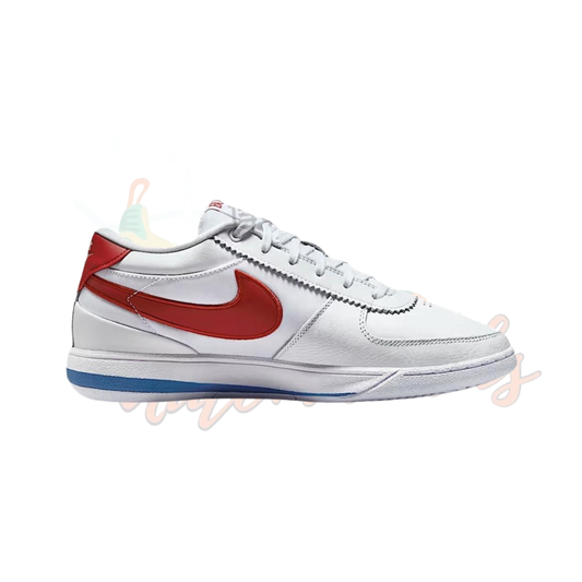 Nike Book 1 "Forest Gump" “FJ4250-105”