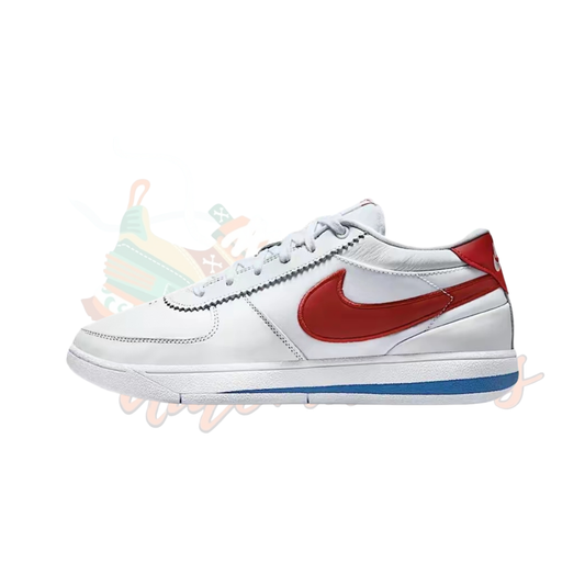 Nike Book 1 "Forest Gump" “FJ4250-105”